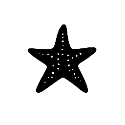 The Starfish Crew